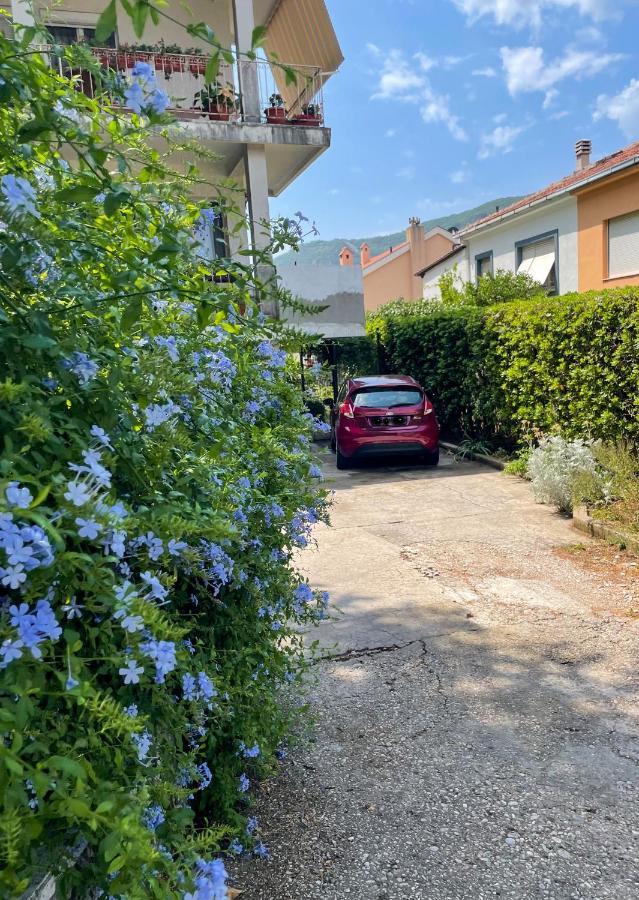 Apartment Garden Kotor Zewnętrze zdjęcie