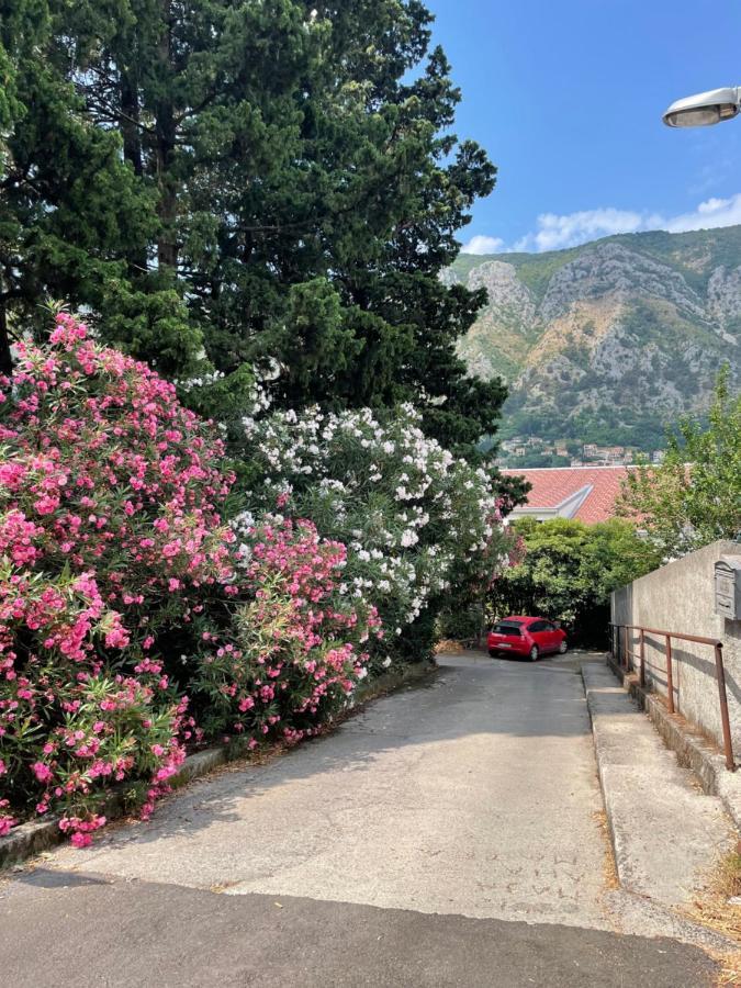 Apartment Garden Kotor Zewnętrze zdjęcie