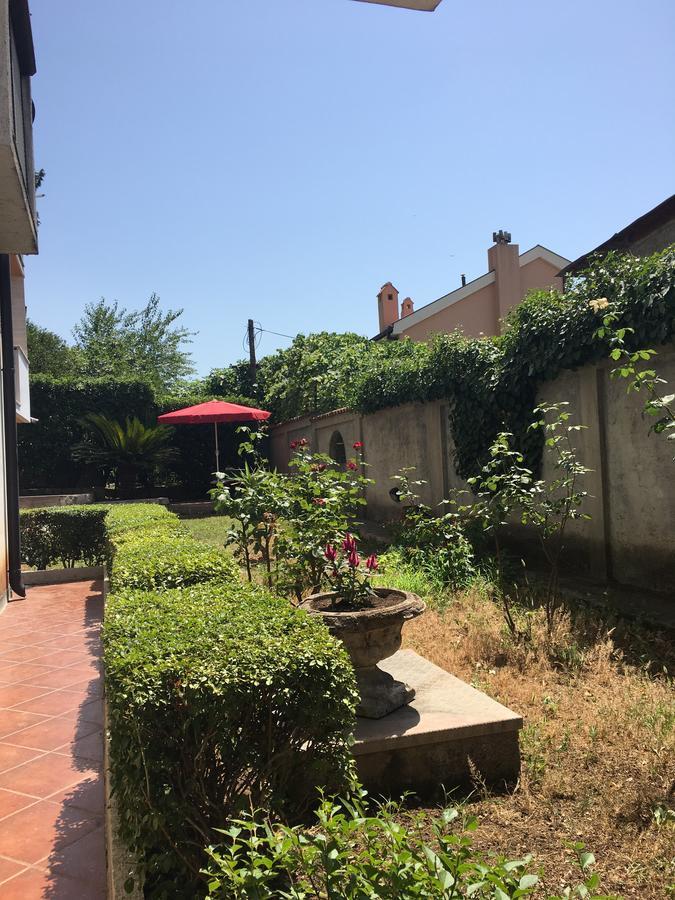 Apartment Garden Kotor Zewnętrze zdjęcie